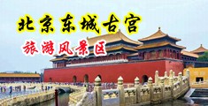 男生女生中出后入高潮中国北京-东城古宫旅游风景区